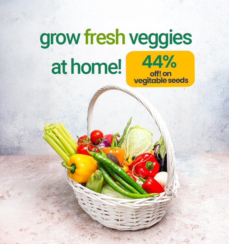 vegetable seeds for home & kitchen gardening