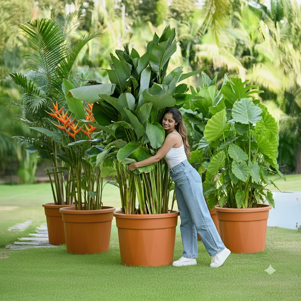 Buy 24 Inch Planter (Pack of 5) online at best price