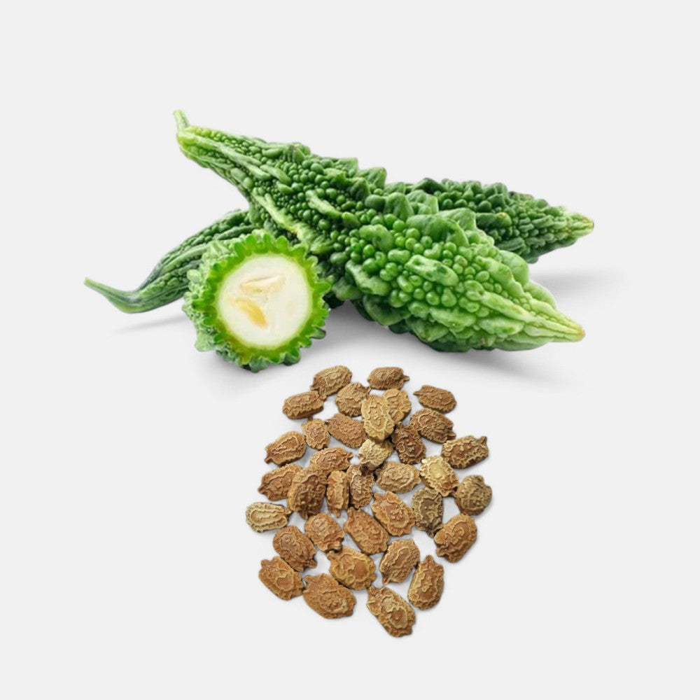 Bitter Gourd Green Seeds