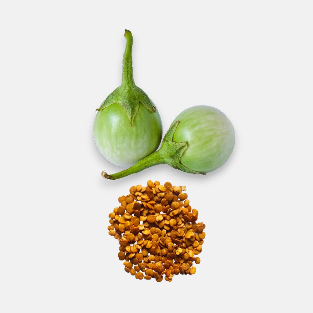 Brinjal Green Round Seeds 3gm | Sunrise