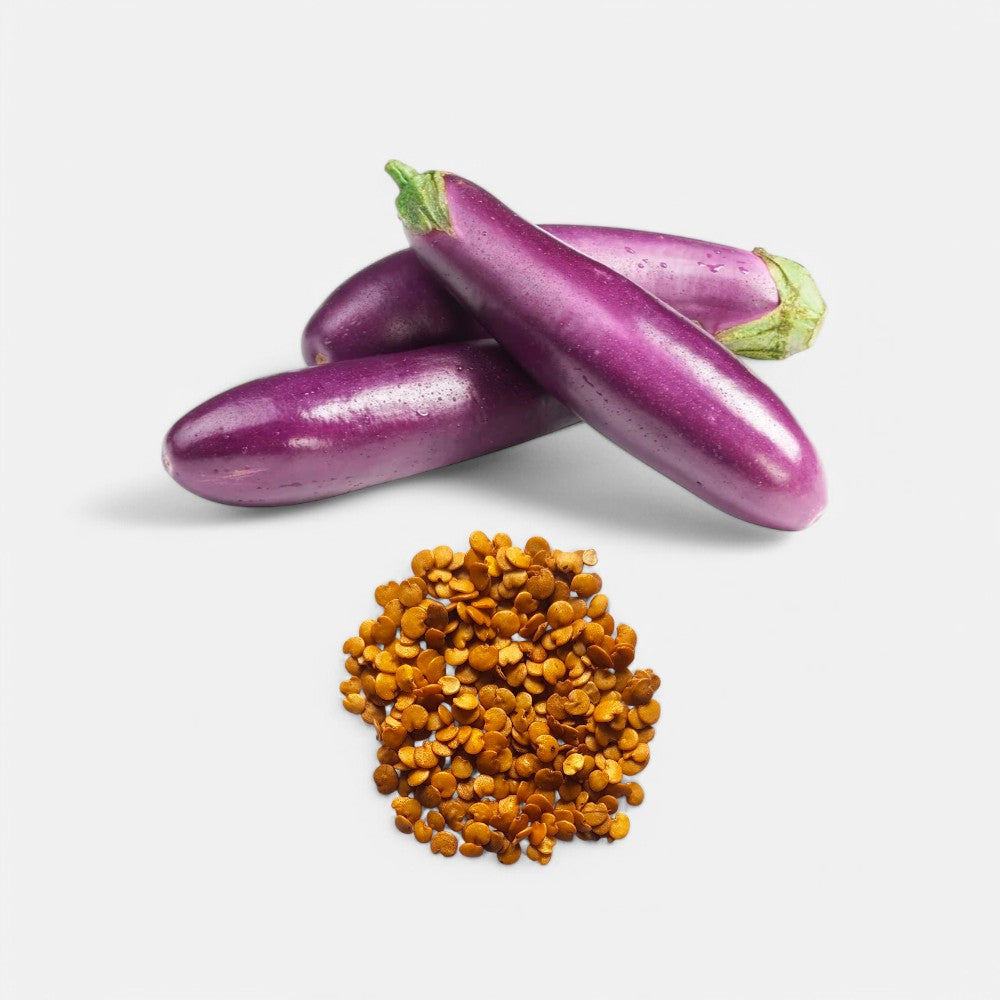 Brinjal Long seeds