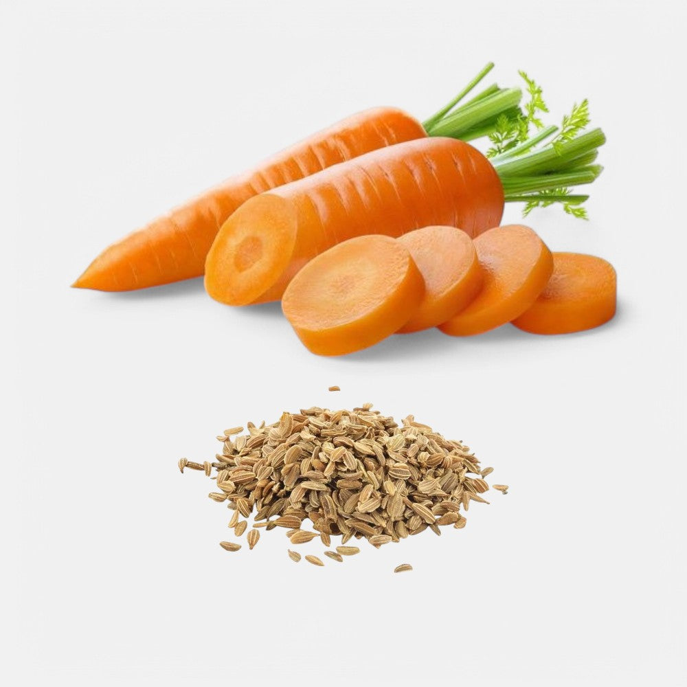 Carrot Seeds