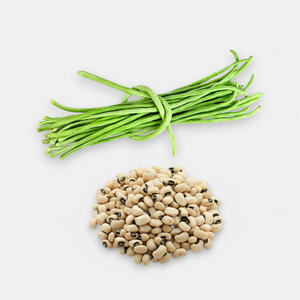 Cowpea - Long Beans Seeds