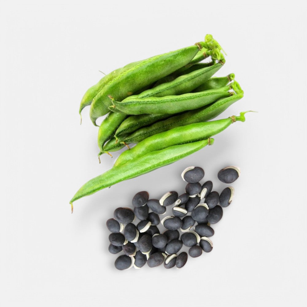 Dolichos Seeds
