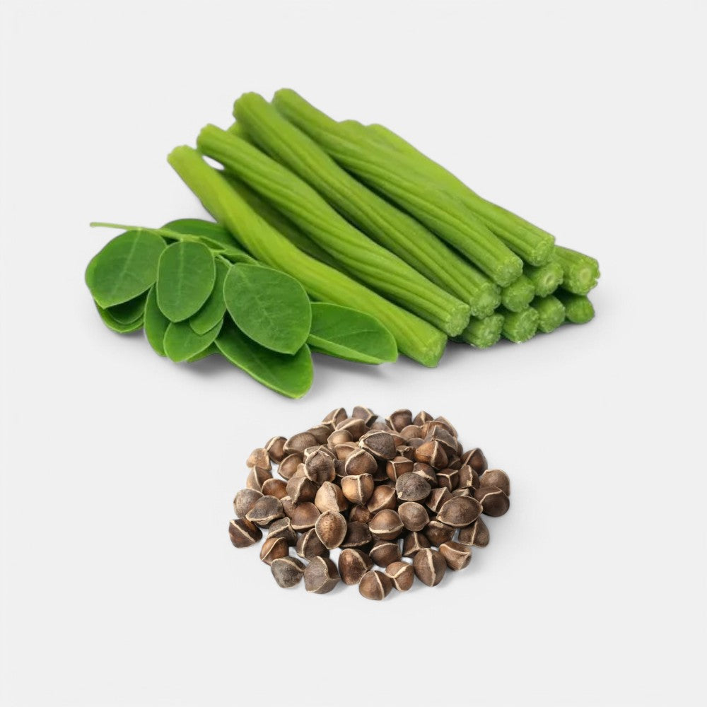 Drumstick (Moringa) Seeds