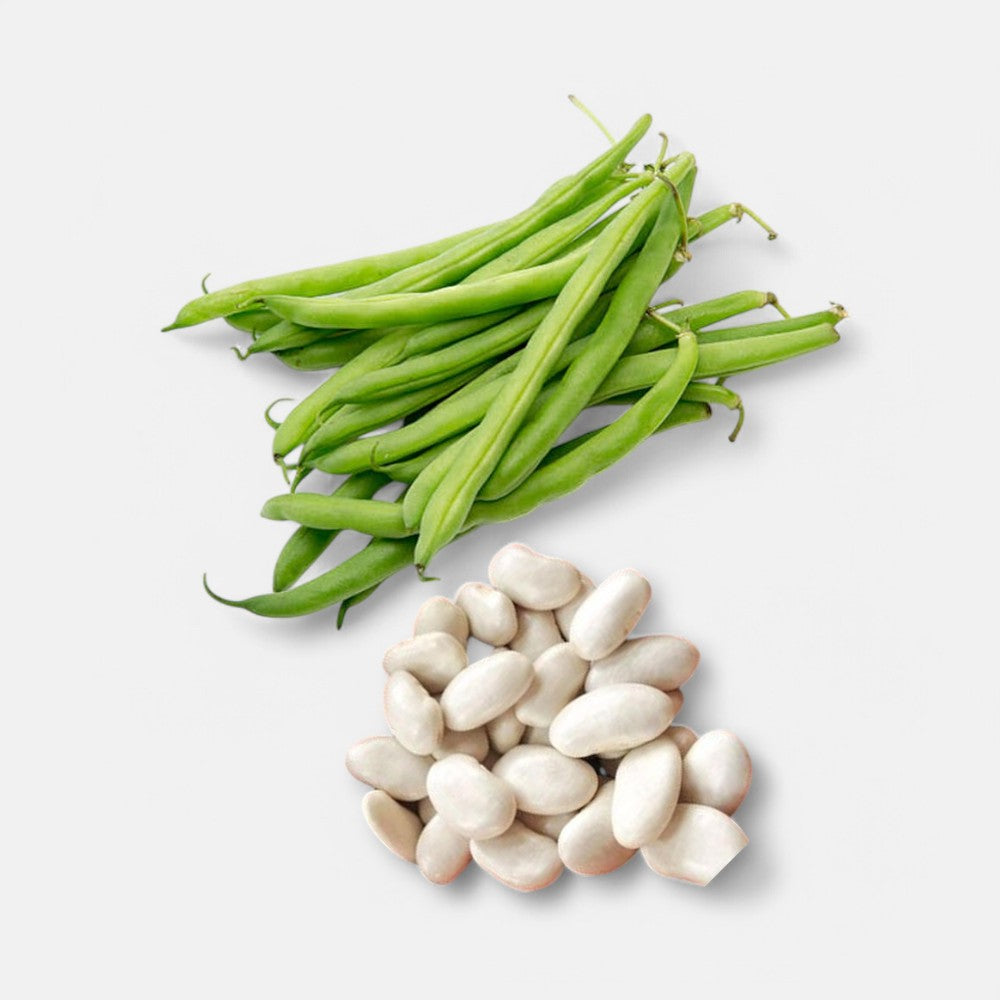 France Beans Seeds