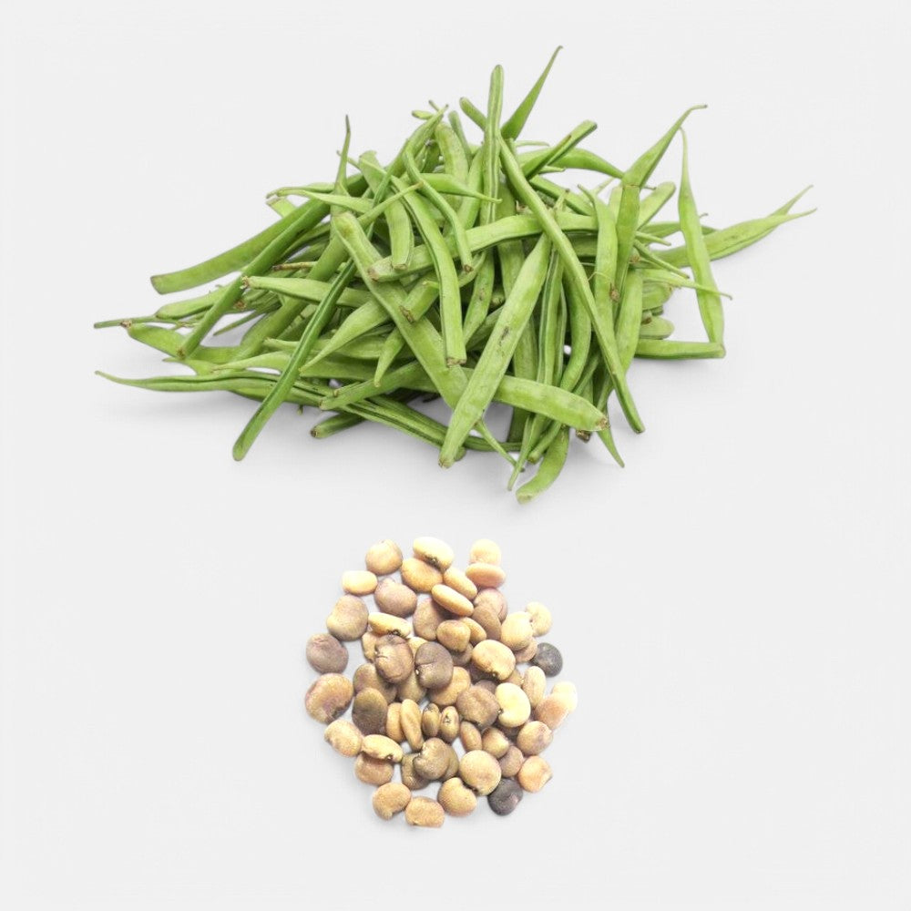 Gwar Phali - Cluster Beans Seeds
