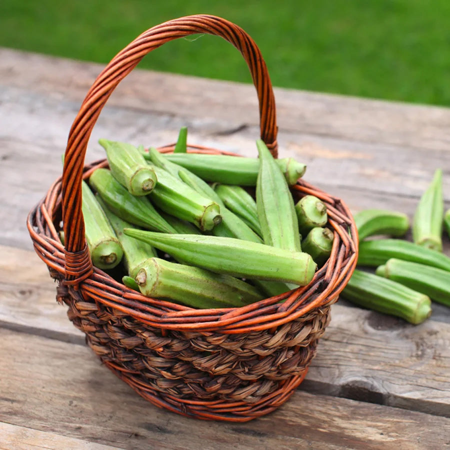 Bhindi (okra) Seeds 8gm - Sunrise