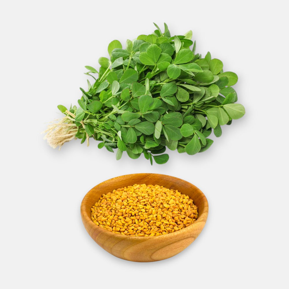 Methi - Fenugreek Seeds