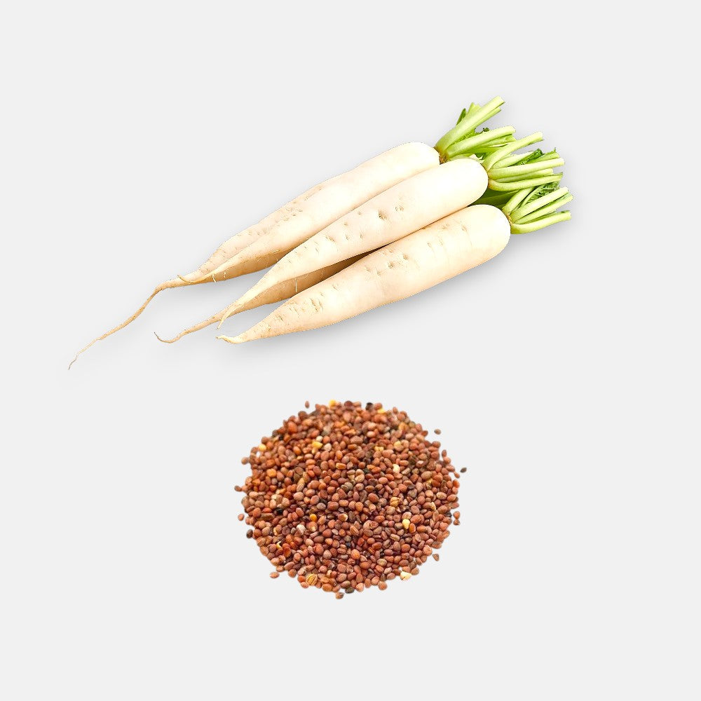 radish plant seeds Buy Radish Seeds 7gm online at best price from plantsguru