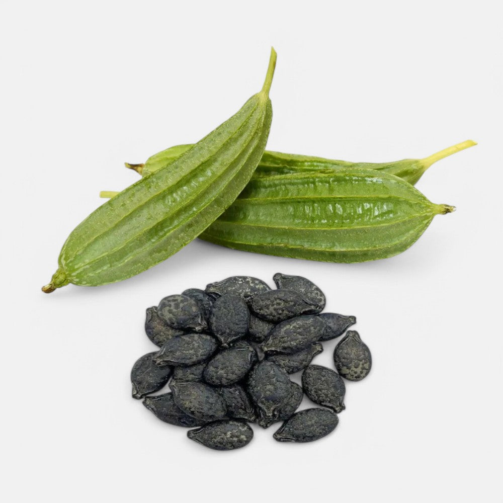 Ridge Gourd Seeds 8gm - Sunrise