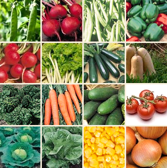 Kitchen Garden Starter Kit