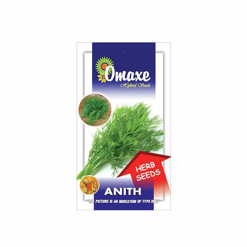 Anith Herb Seeds - omaxe seeds