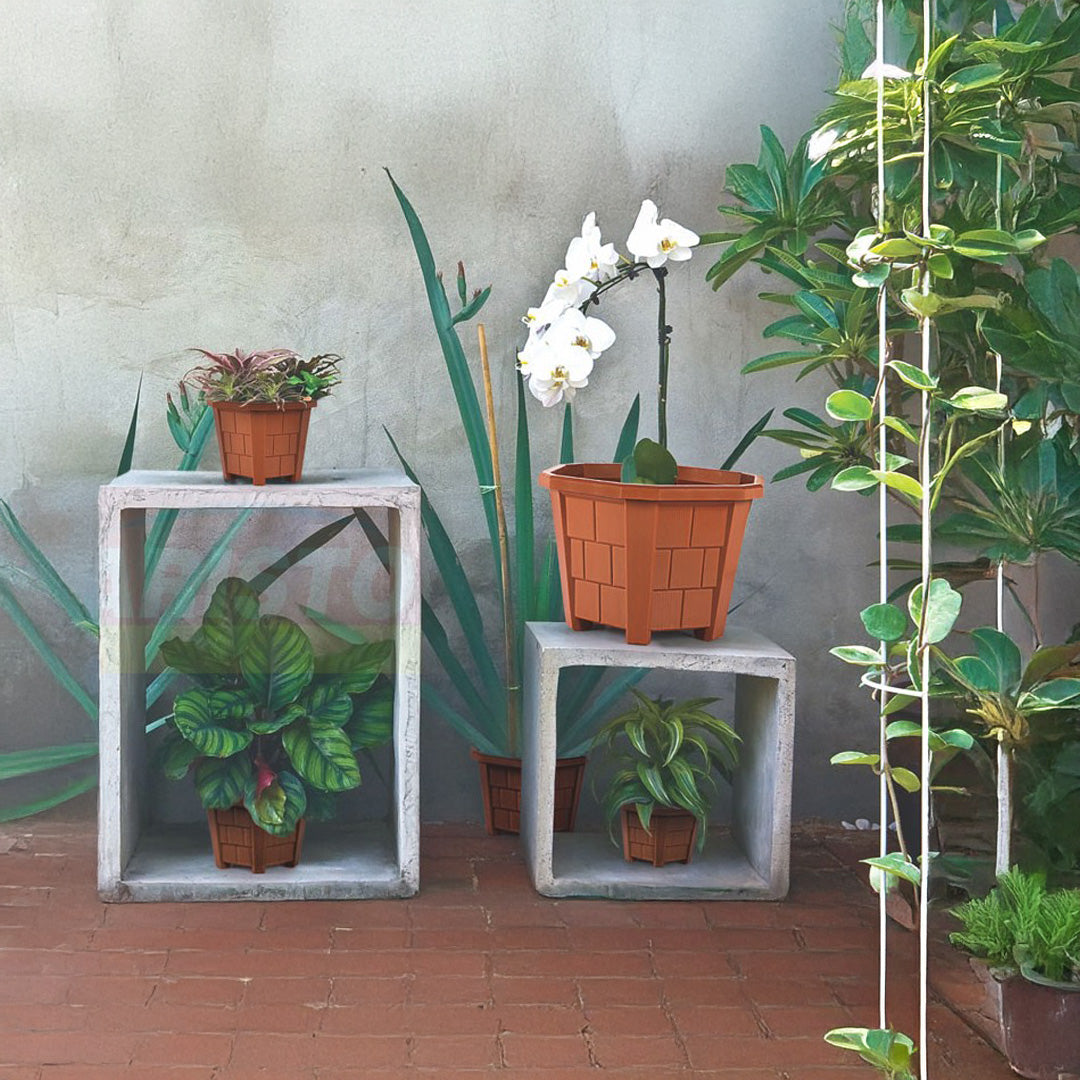 Hexa Planter No. 02 | 16.5 (D) X 11 CM (H) | Pack of 5 | indoor or outdoor use