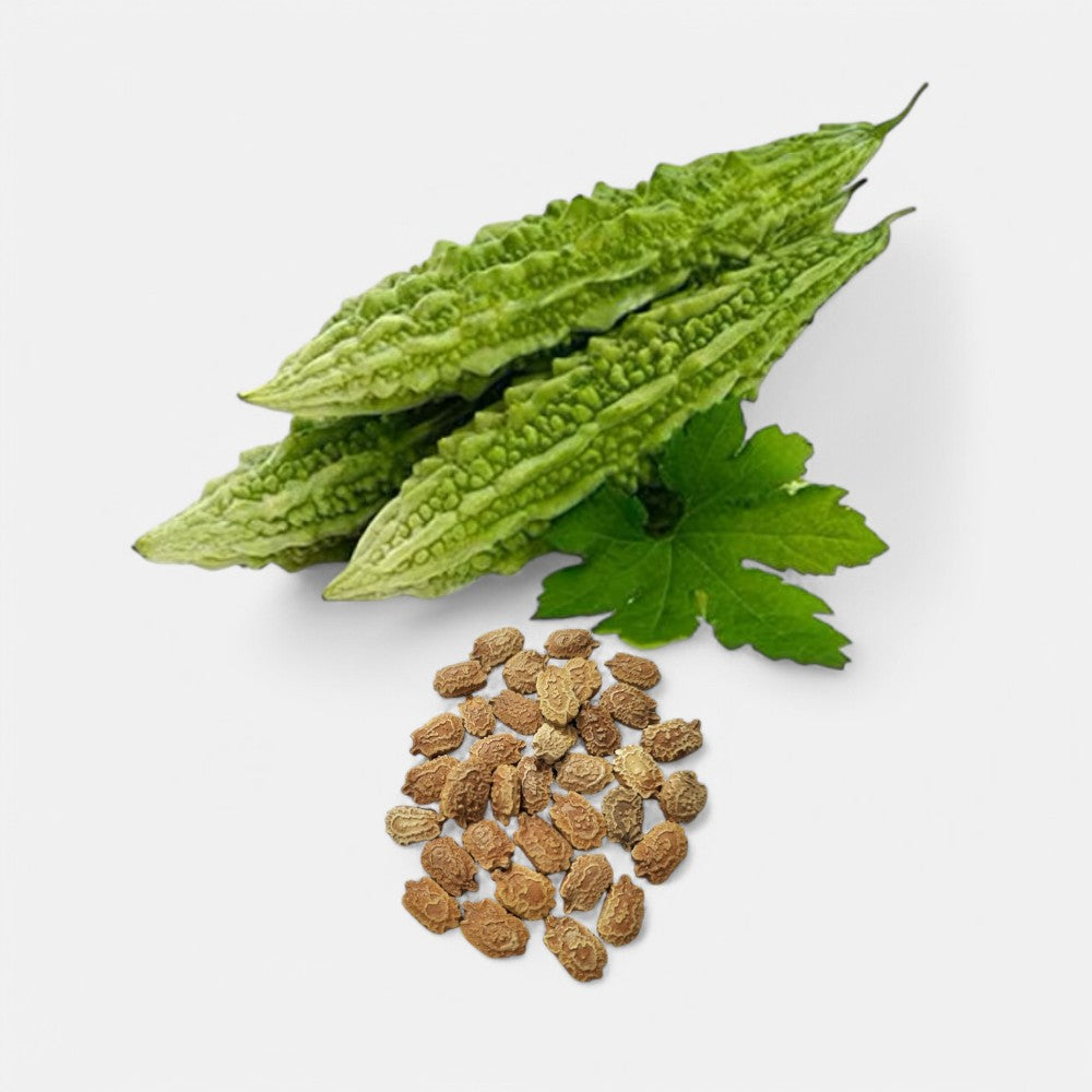 Bitter Gourd Seeds (white -8gm) | Sunrise