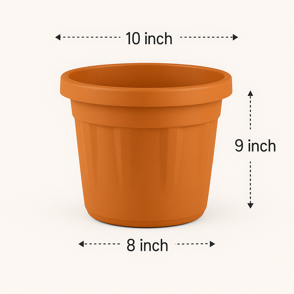 blossom garden pot 10 inch
