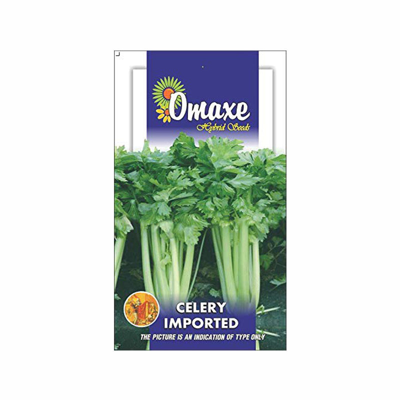 Celery Imported Seeds (100 Seeds) - omaxe seeds
