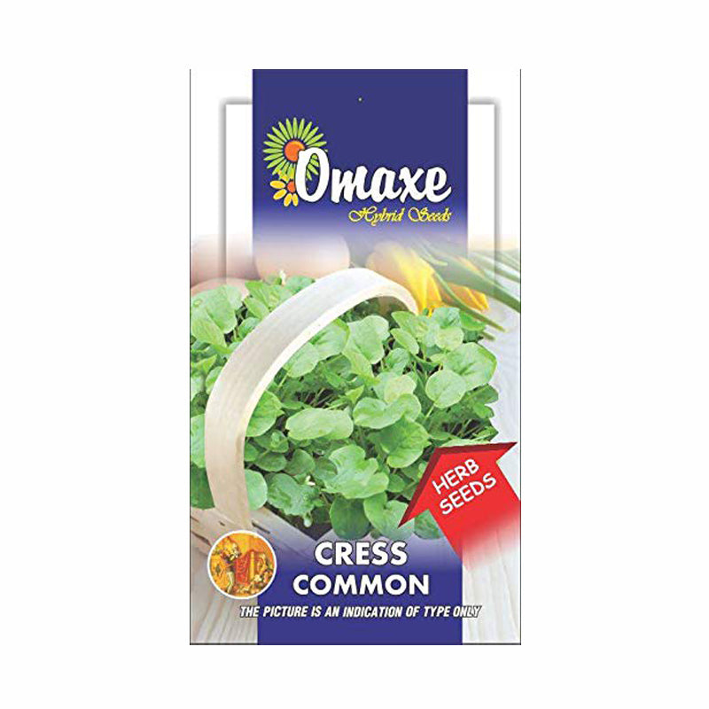 Cress Common Seeds (30-50 Seeds) - omaxe seeds