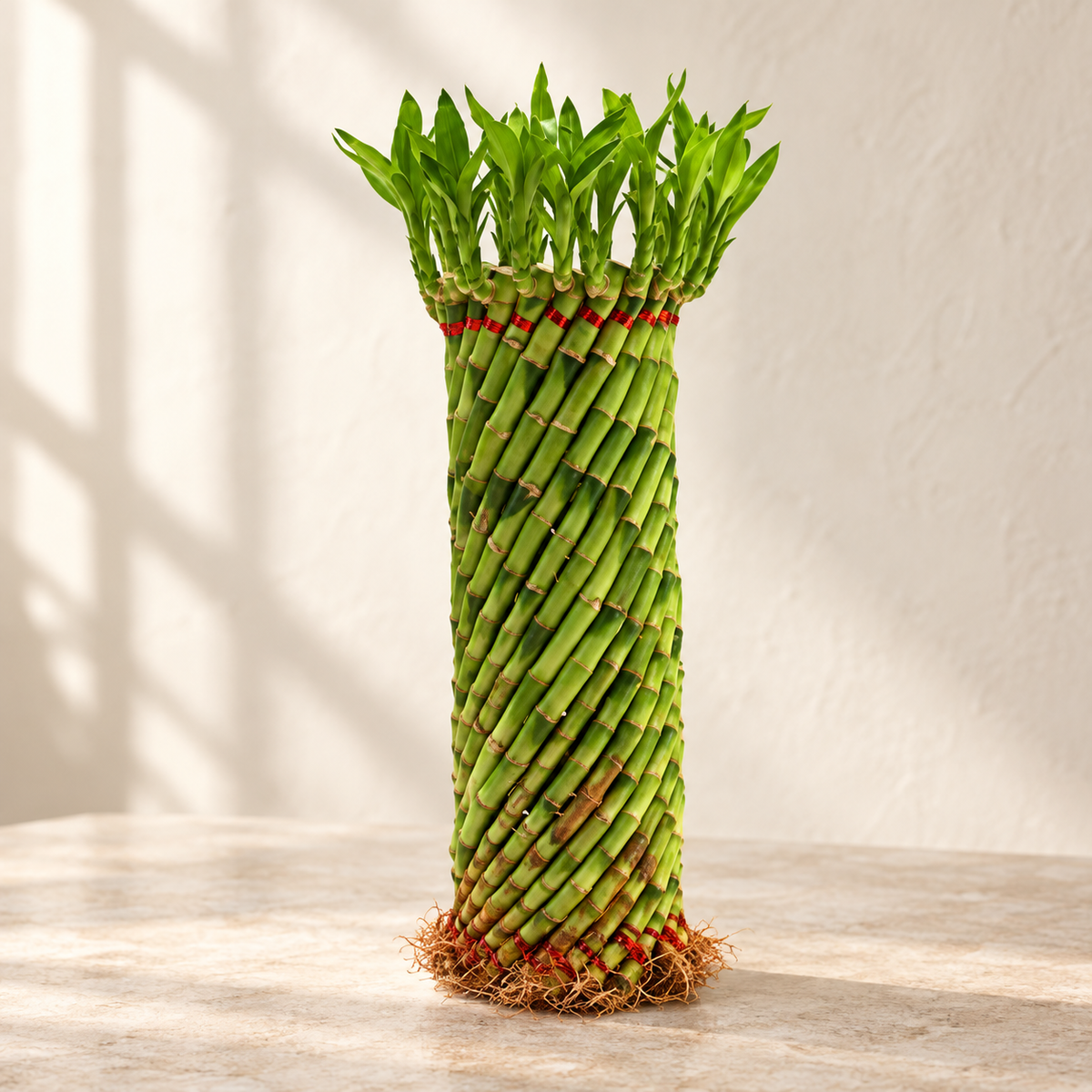 Lucky Bamboo Feng Shui Wheel
