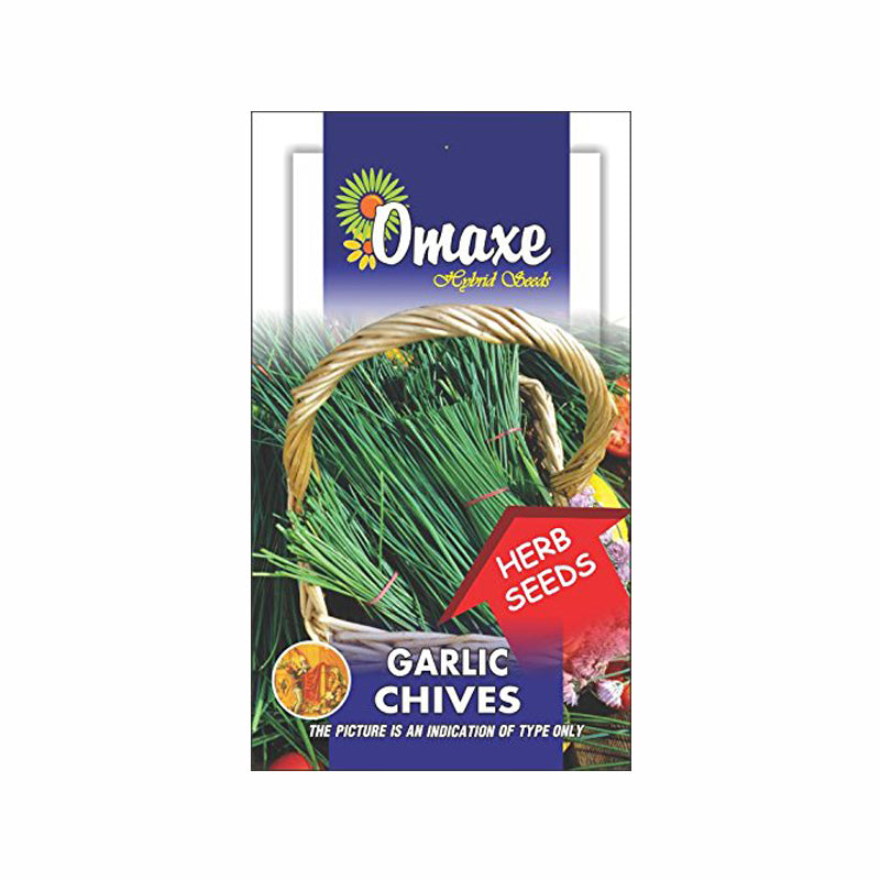 Garlic Chives Seeds(30- 40 Seeds) - omaxe seeds