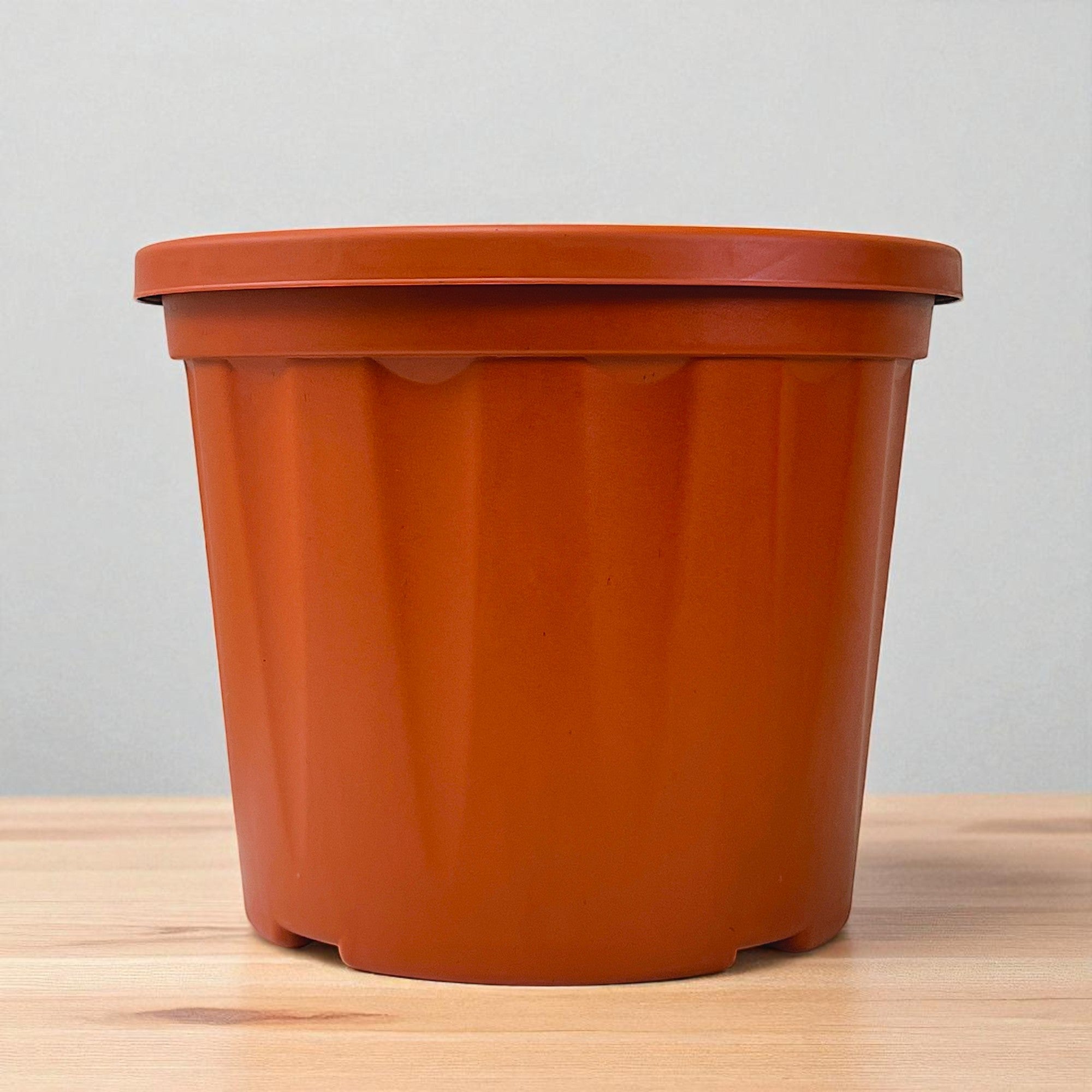 Blossom Pot 12" | Pack of 10 | Heavy Duty Planter for Indoor-Outdoor Garden