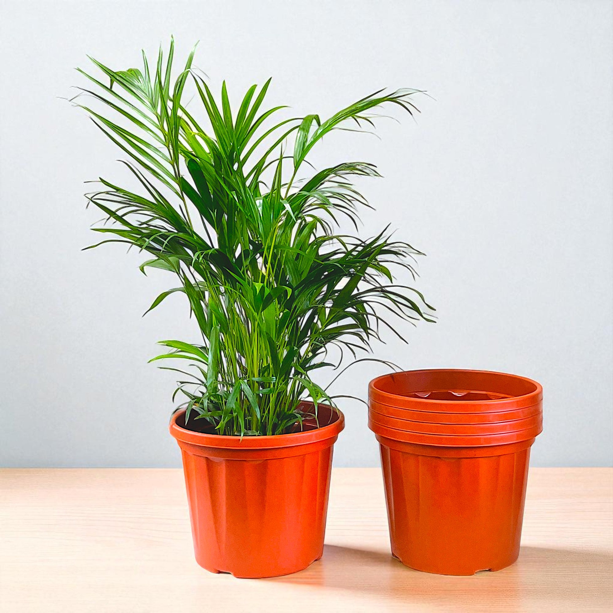Blossom Pot 16" | Pack of 5 | Heavy Duty Planter for Indoor-Outdoor Garden
