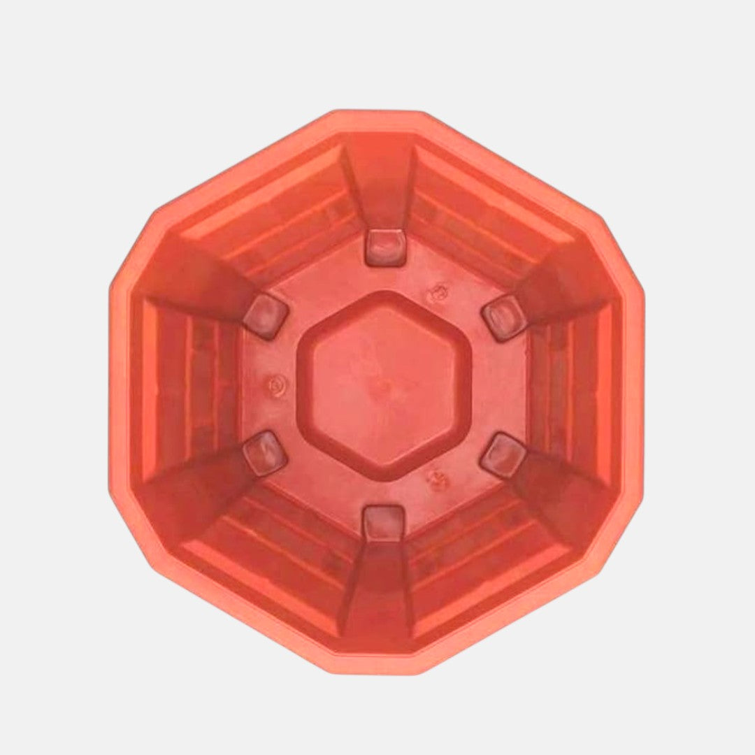 Hexa Planter No. 02 | 16.5 (D) X 11 CM (H) | Pack of 5 | indoor or outdoor use