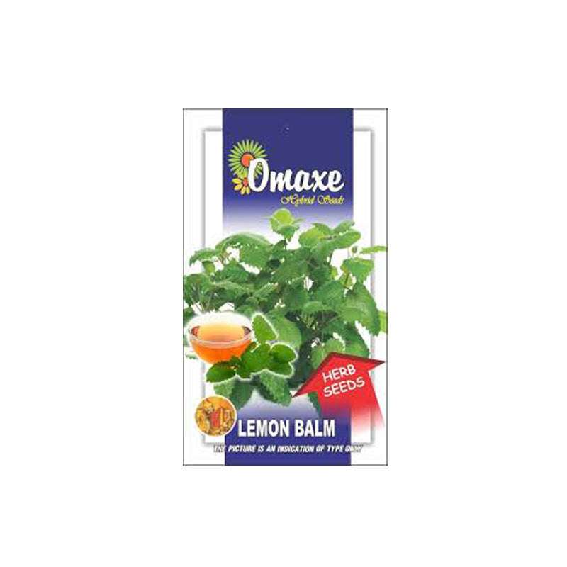 Lemon Balm Seeds (20-30 Seeds) - omaxe seeds