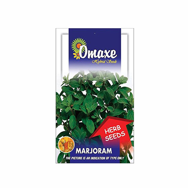 Marjoram Herb Seeds - omaxe seeds