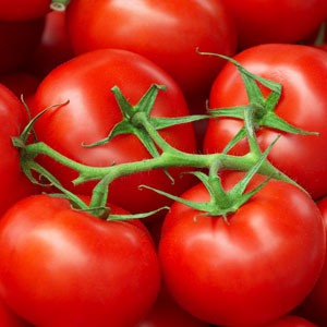 Buy Omaxe Tomato F1 Hybrid Sachriya Seeds (50 Seeds) online at