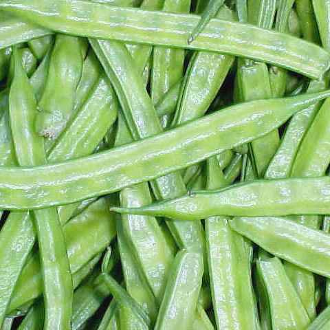 Gwar Phali - Cluster Beans seeds - omaxe seeds