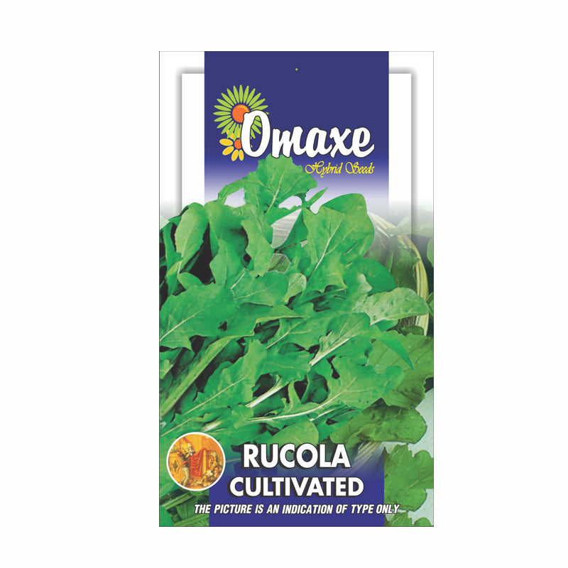 Rucola Leaves - Cultivated Seeds (40 Seeds) - omaxe seeds