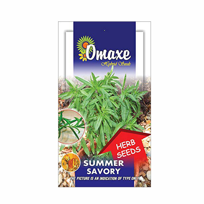 Summer Savory Seeds - omaxe seeds