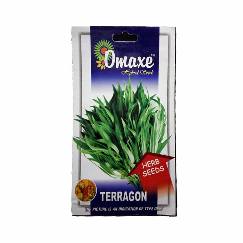 Terragon Seeds - omaxe seeds