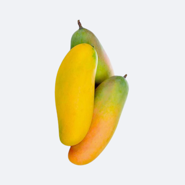 Thai Banana Mango Grafted Plant | 2-3 Feet