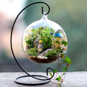 Terrarium Garden