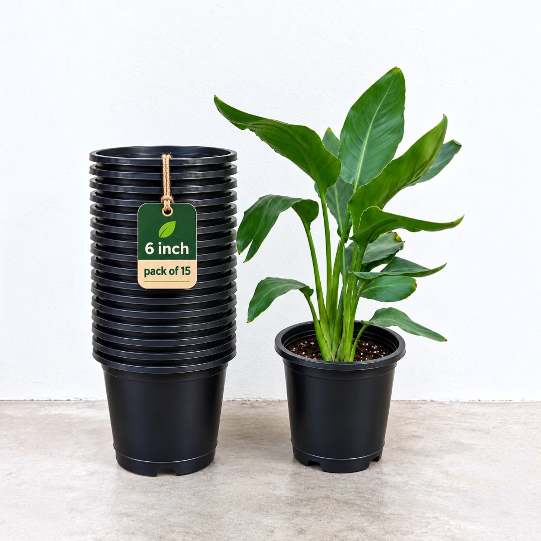 Nursery Pot 6" Inch | Black | Pack of 15 | Light Weight | Pot for Indoor-Outdoor Garden