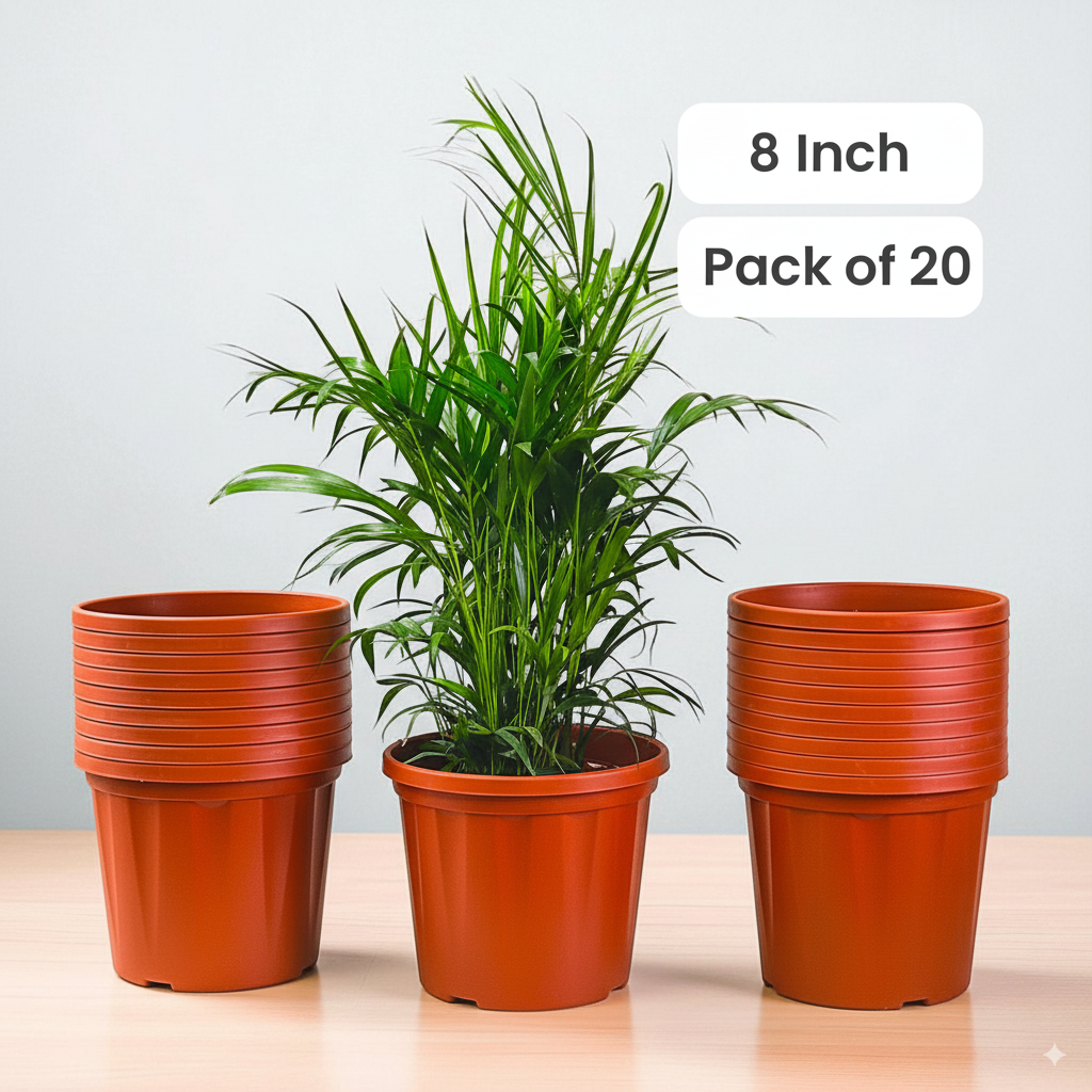 Blossom Pot 08&quot; | Pack of 20 | Heavy Duty Planter for Indoor-Outdoor Garden