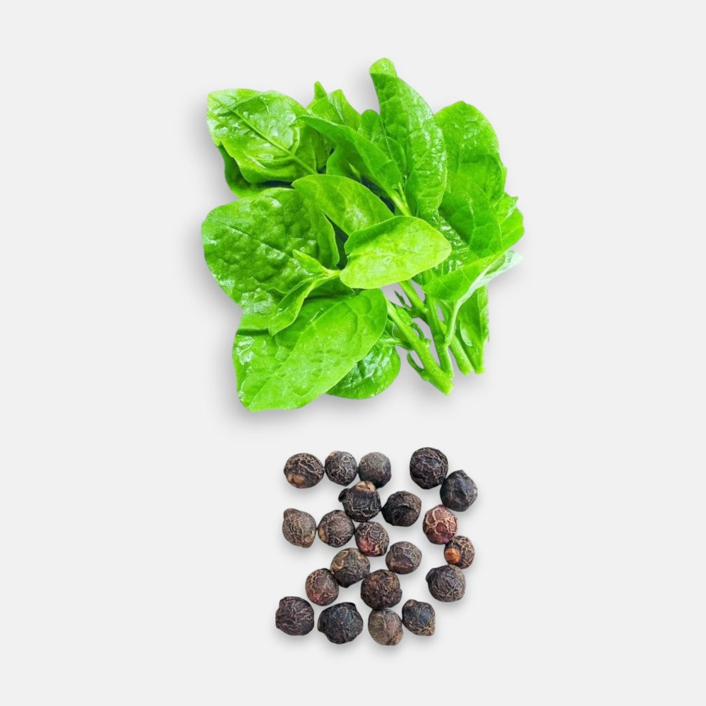 Bachala Kura Seeds 8gm