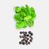 Bachala Kura Seeds 8gm