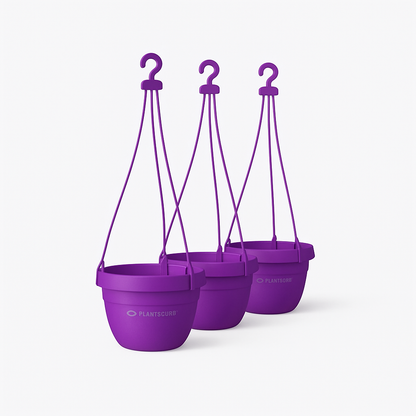 Hanging Basket Violet