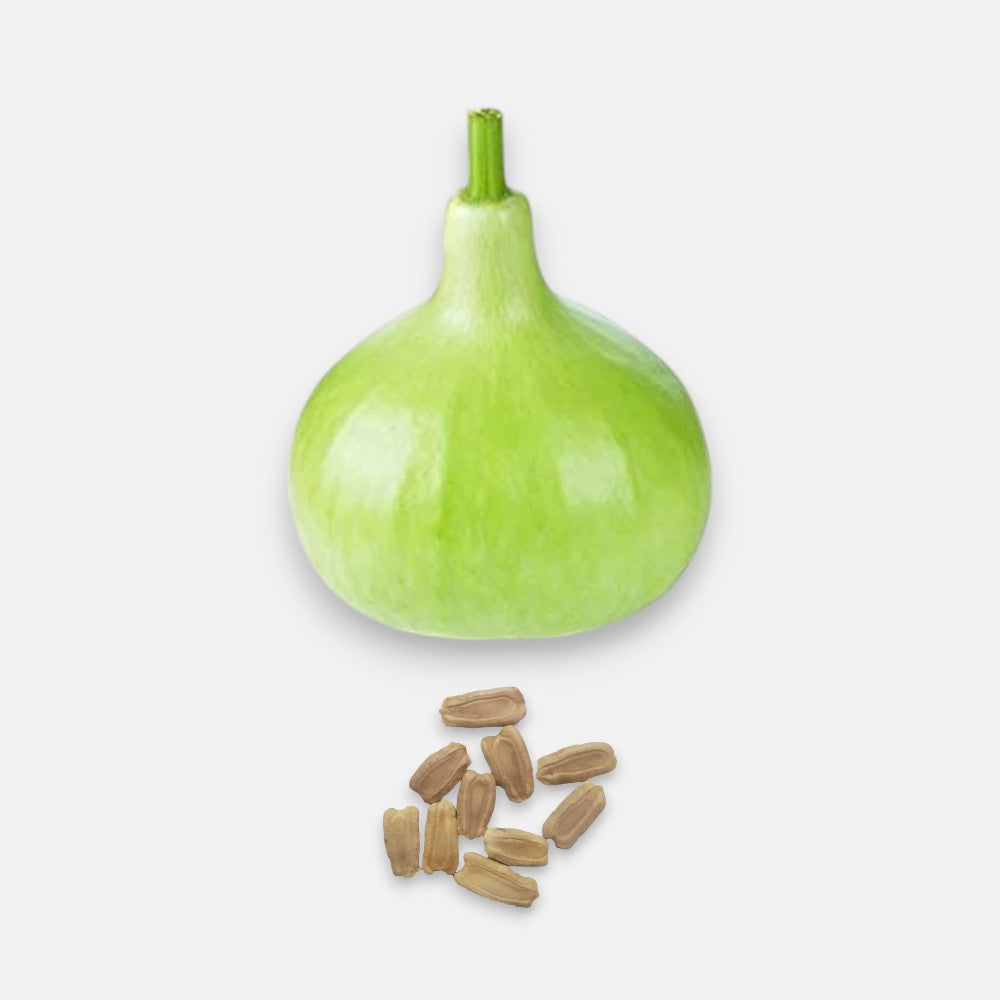 Bottle Gourd Round Seeds