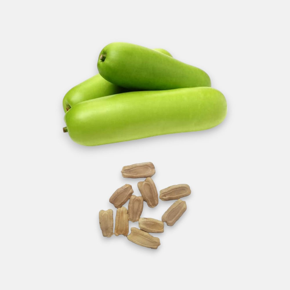Bottle Gourd Seeds