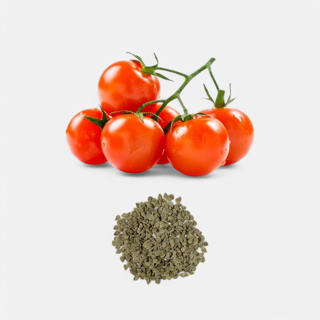 Cherry Tomato IMP F1-Hybrid seeds
