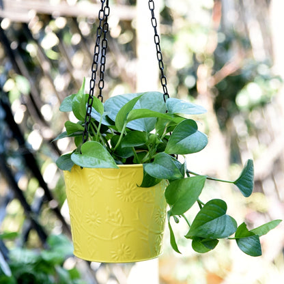 Balcony Hanging Metal Bucket Yellow