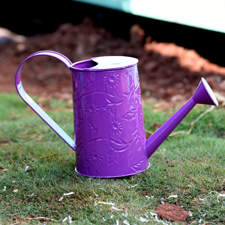 Embossed Water Can In Purple Color