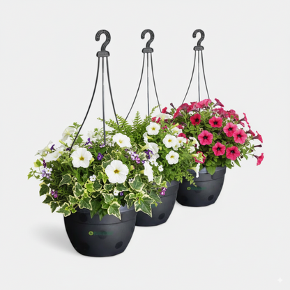 Blossom Hanging Basket Black (Pack of 3)