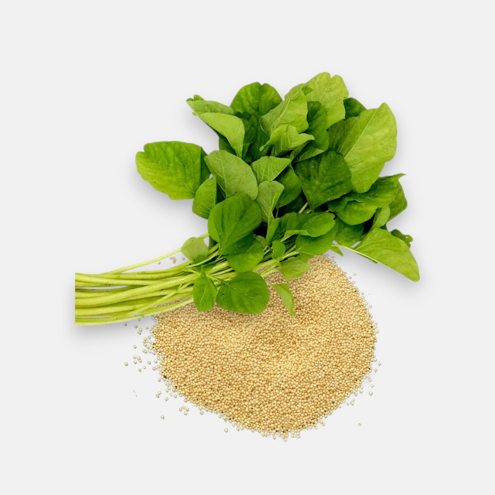 Green Amaranthus Seeds 6gm | Sunrise