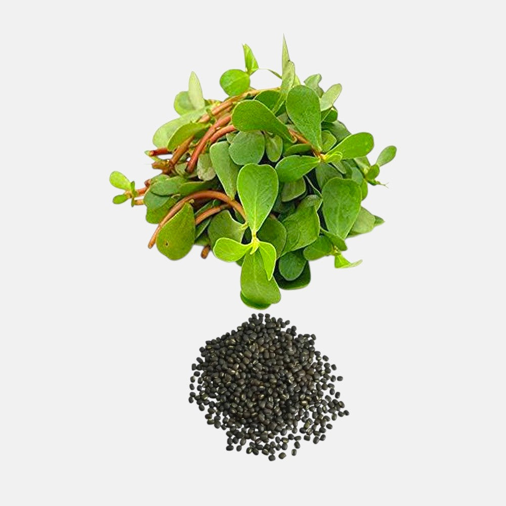 Kulfa Seeds
