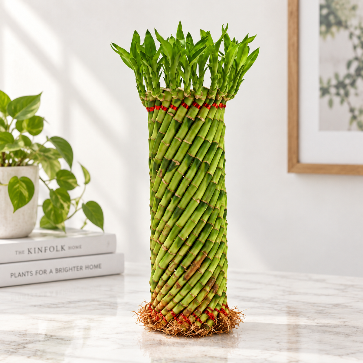 Lucky Bamboo Feng Shui Wheel